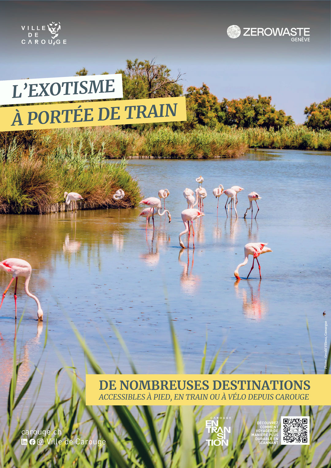 Affiche Camargue