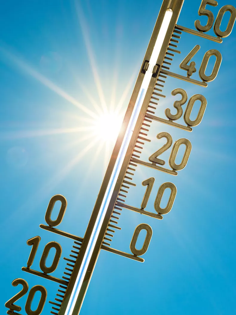Alerte SMS canicule