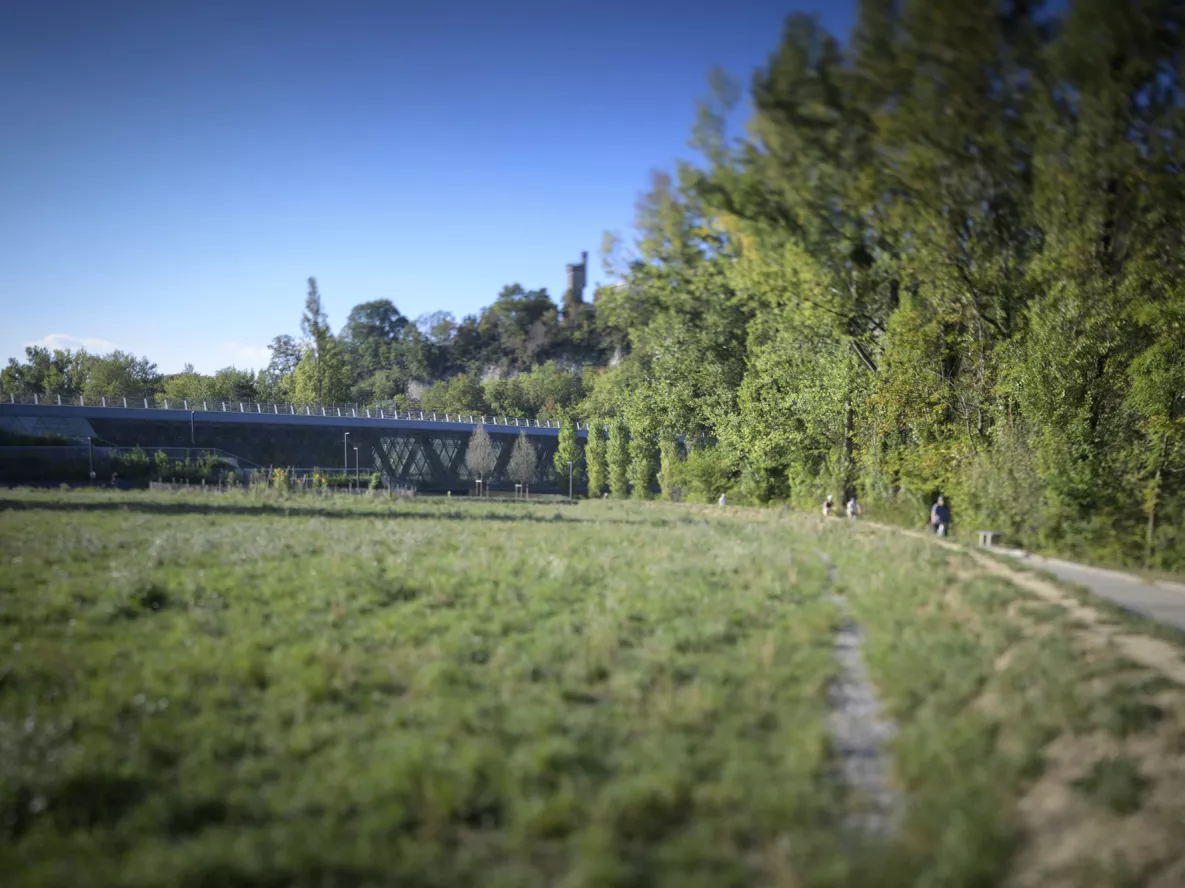 Visuel Parc Boulodrome