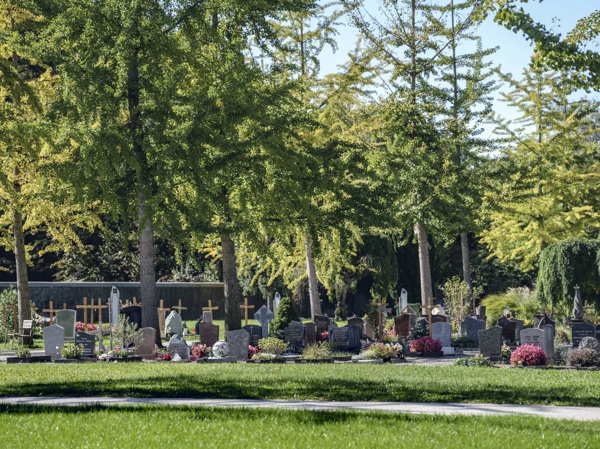 Photo du Cimetière de Carouge