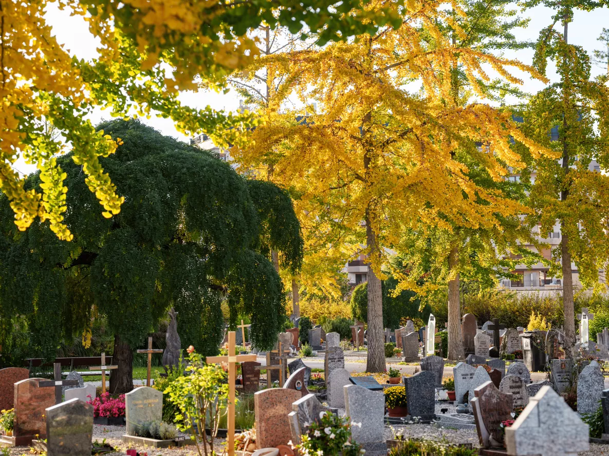 Image cimeti&egrave;re automne