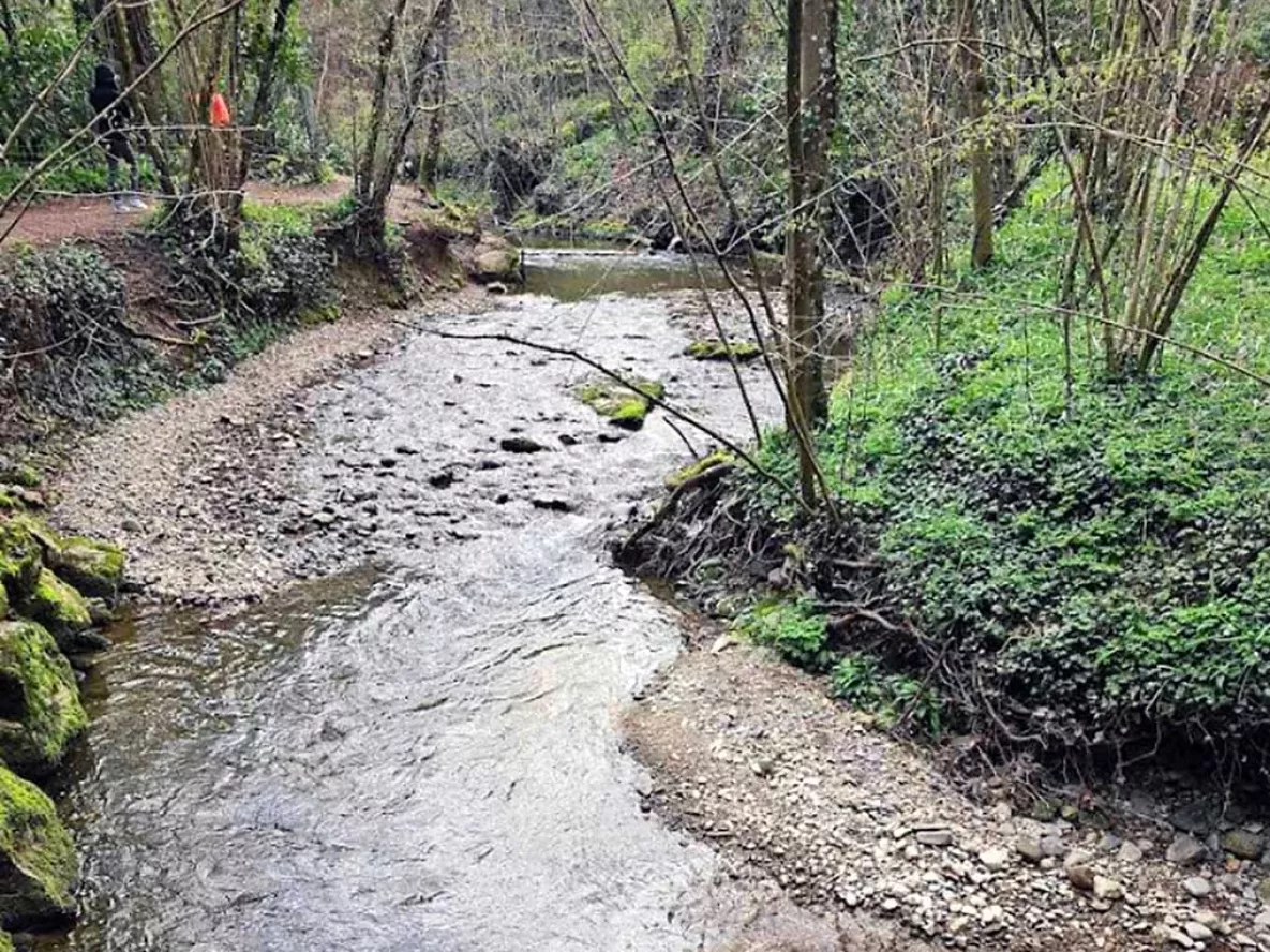 Drize &agrave; Carouge