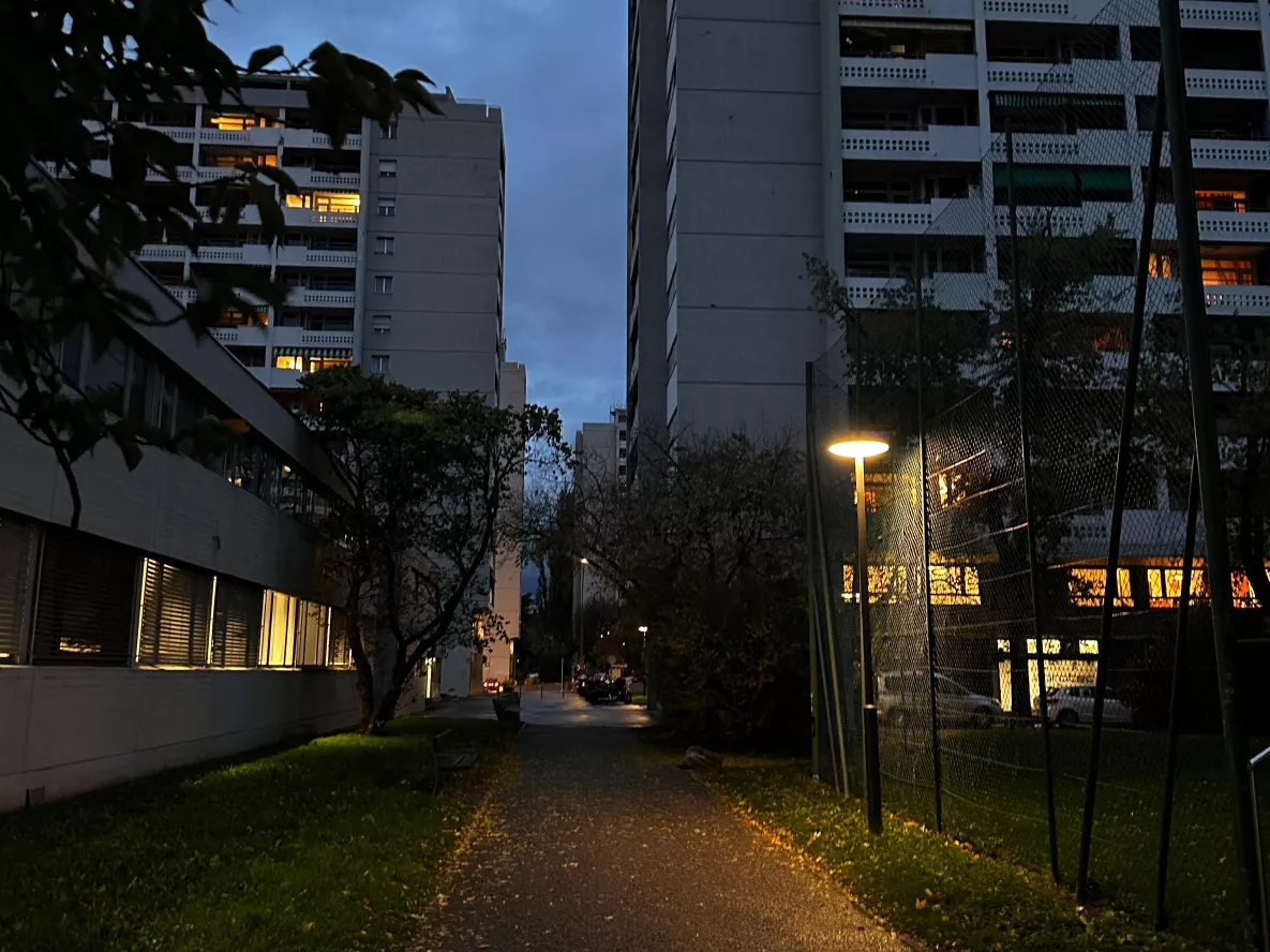 Tours de Carouge de nuit