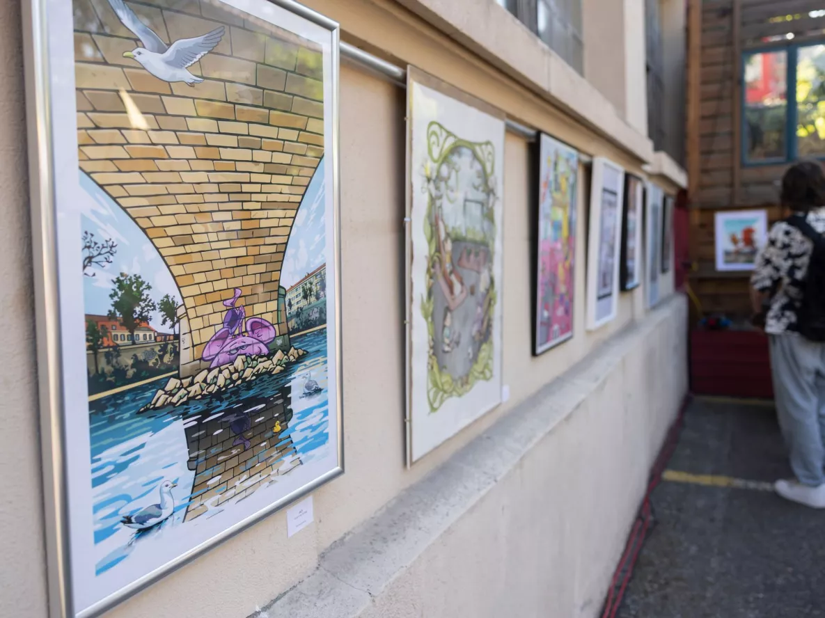 Photo Carouge Dessin&eacute;!