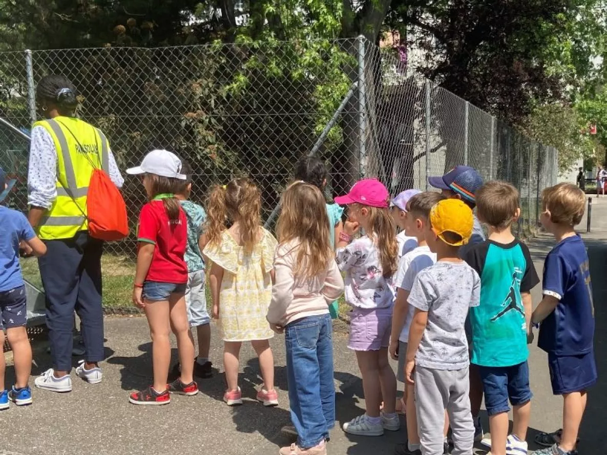 Animations au parascolaire