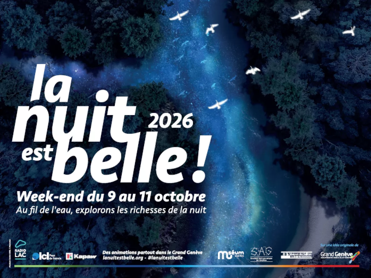 La nuit est belle!