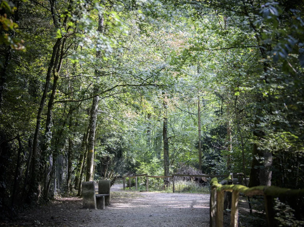 Promenade le long de la Drize