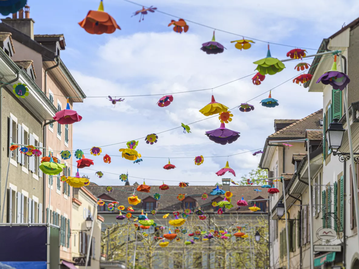 Zone pi&eacute;tonne Rue Saint-Joseph 