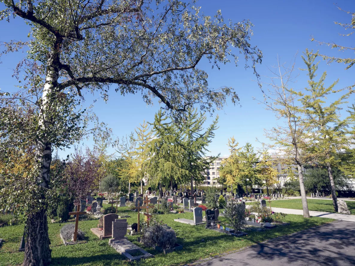 Cimeti&egrave;re de Carouge