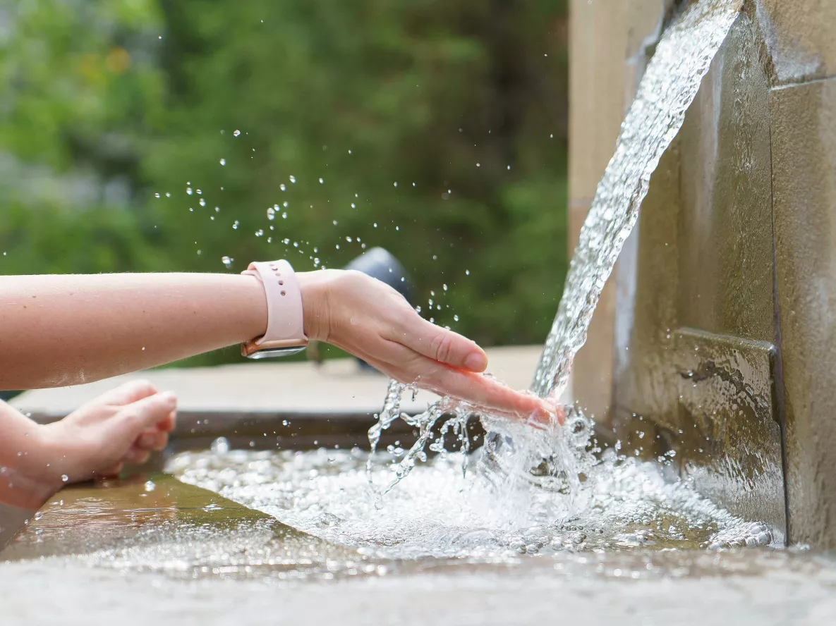 &agrave; la fontaine