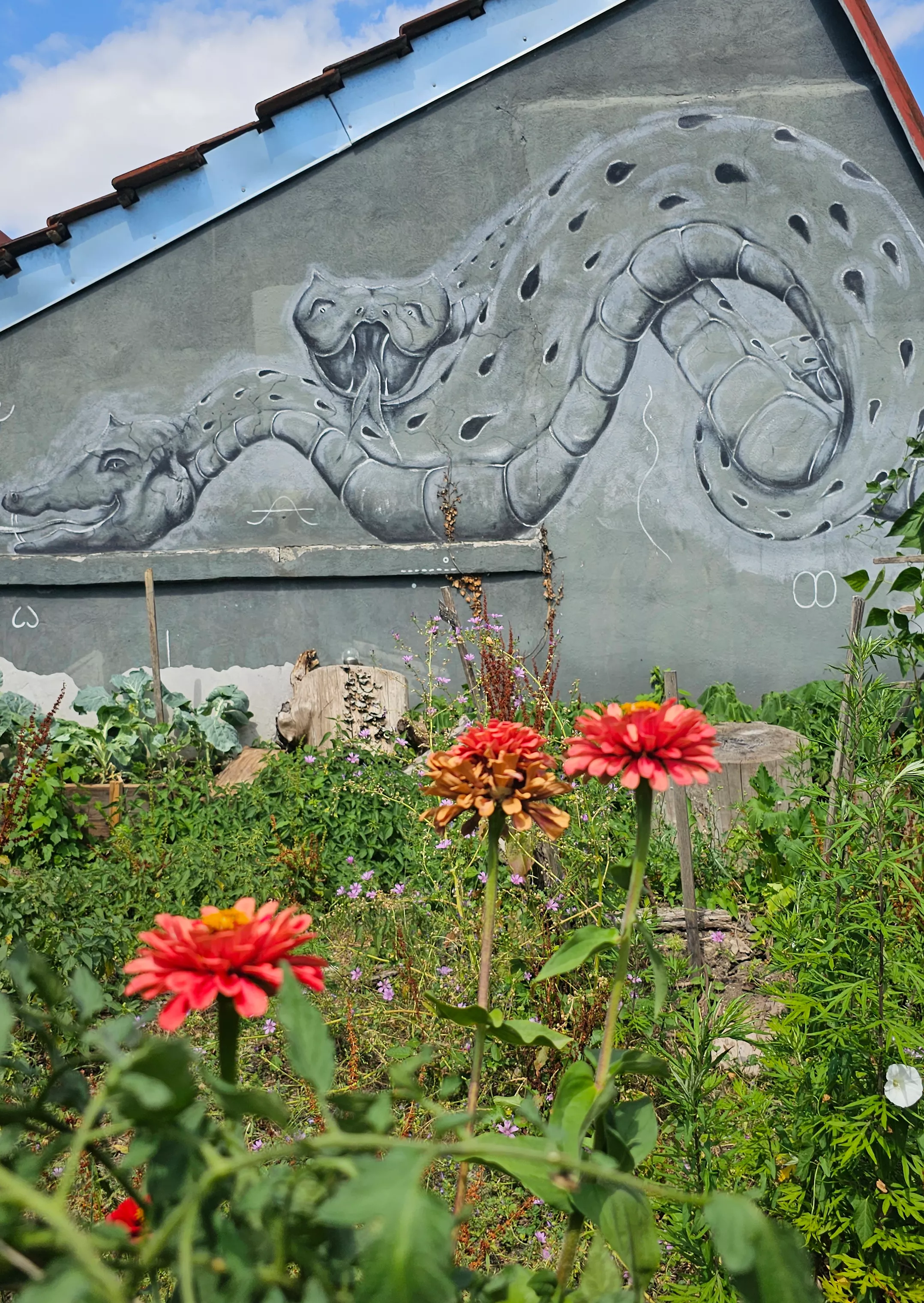 Fleurs oranges et herbe dans le Jardin des Moraines