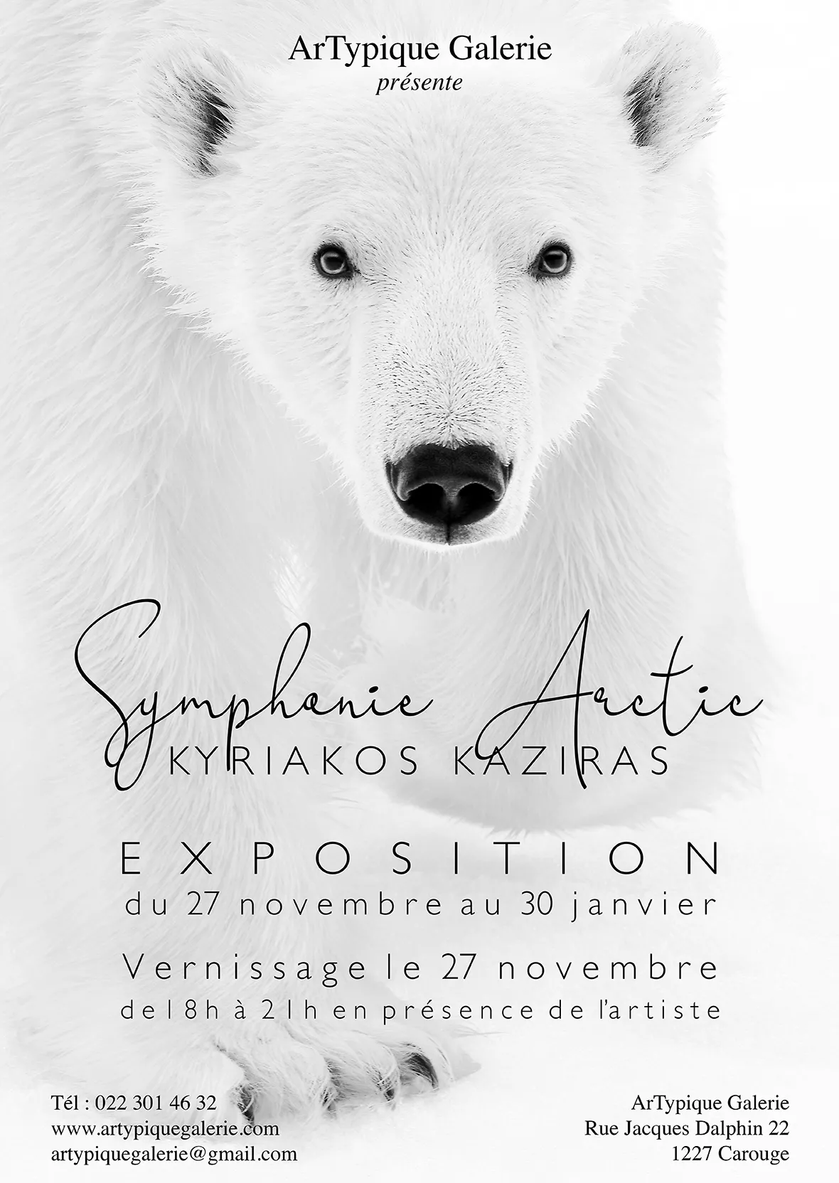 Visuel Affiche Symphonie Arctic