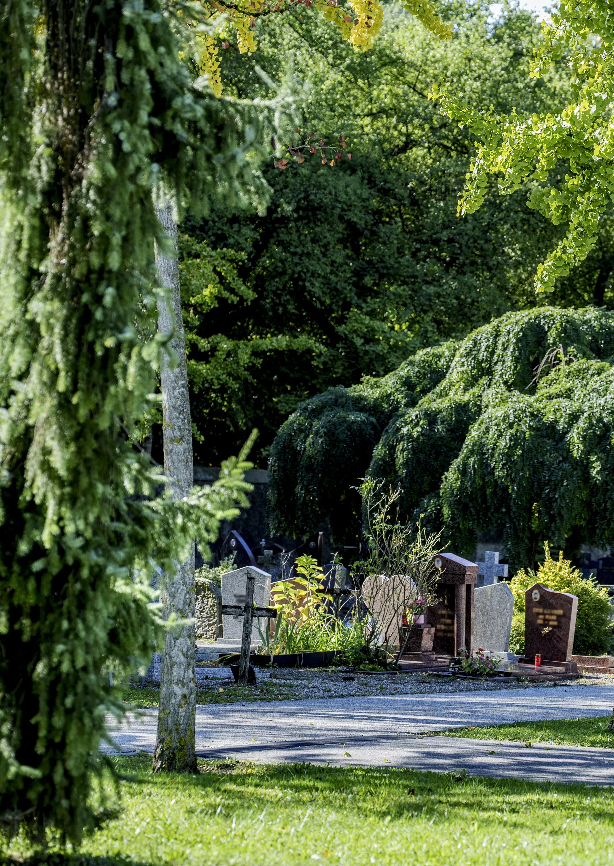 Cimeti&egrave;re de Carouge
