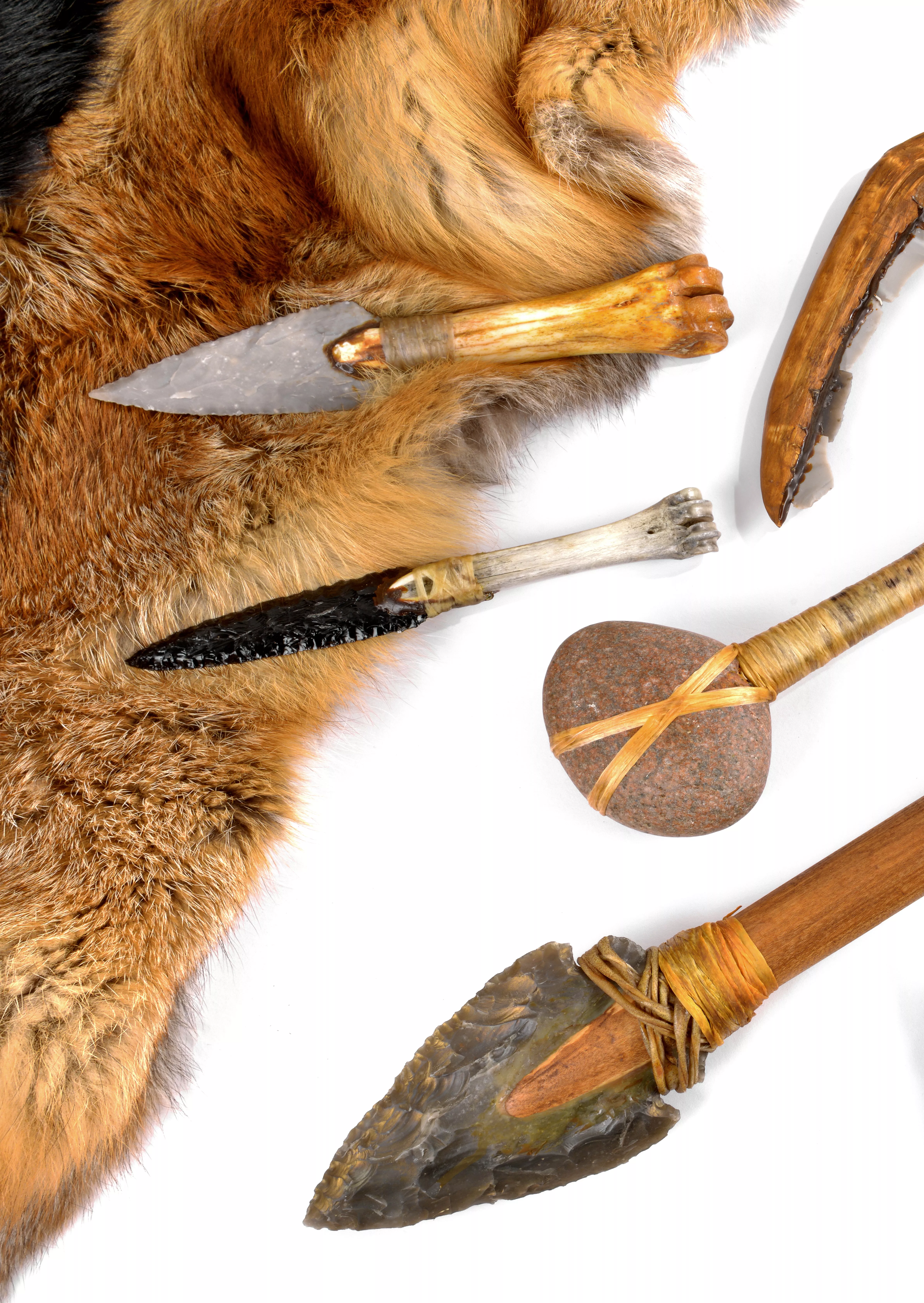 Exp&eacute;rience pr&eacute;historique