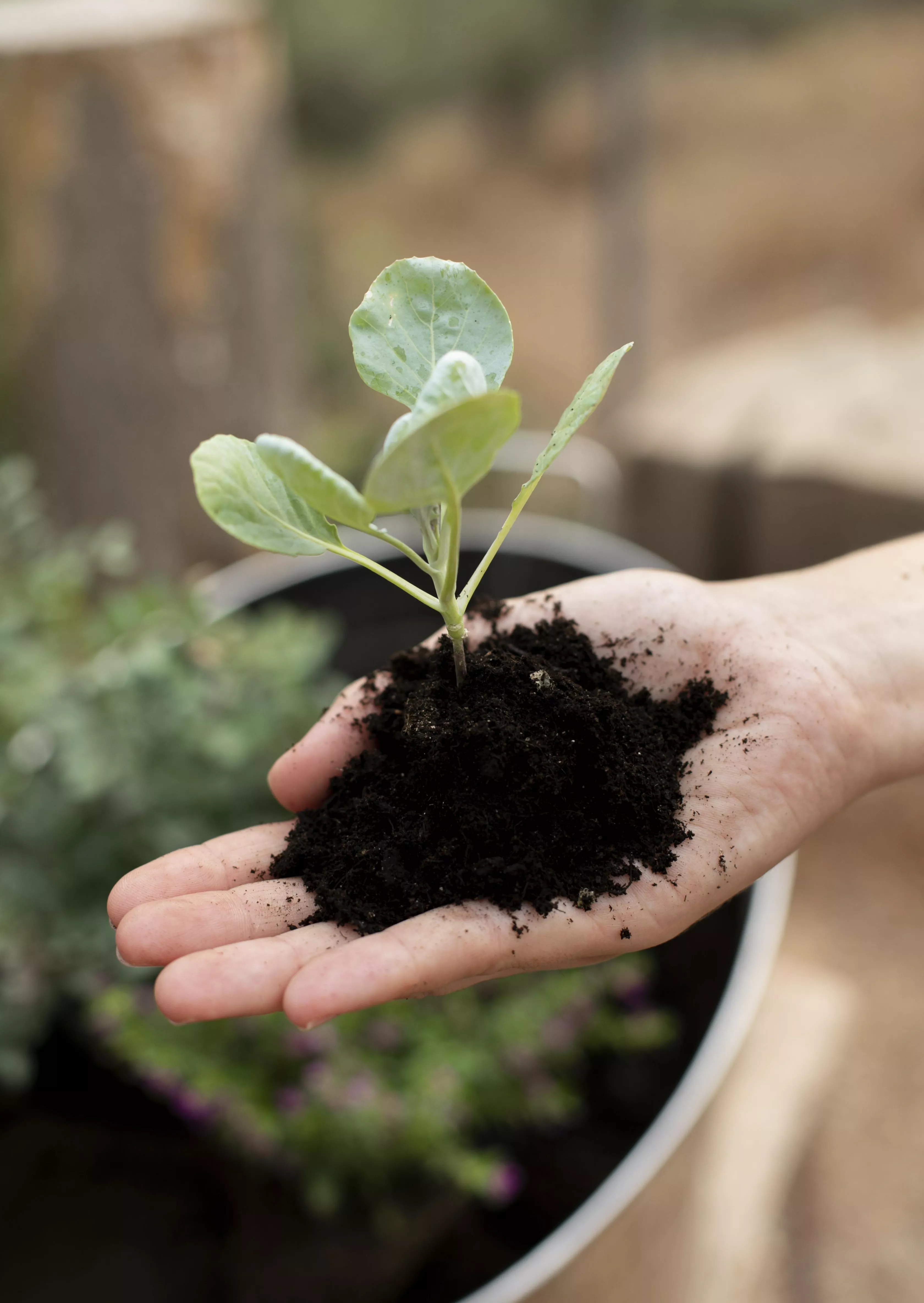 Journ&eacute;e-Plantons