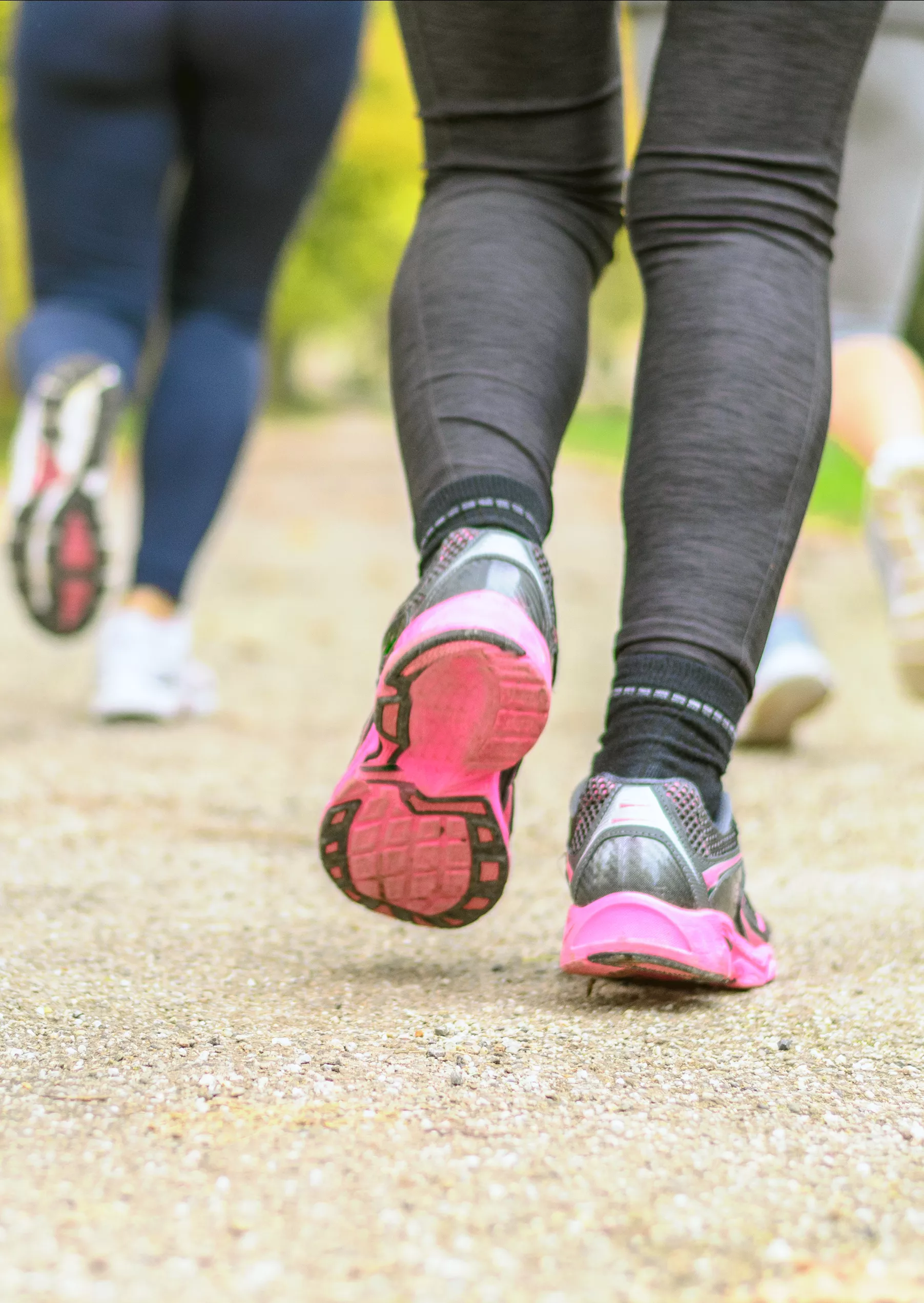 Entra&icirc;nements de course a pied &agrave; Carouge