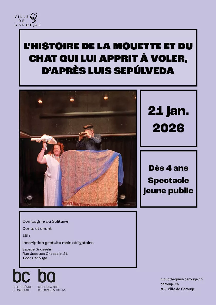 Affiche de "l'histoire de la mouette..."