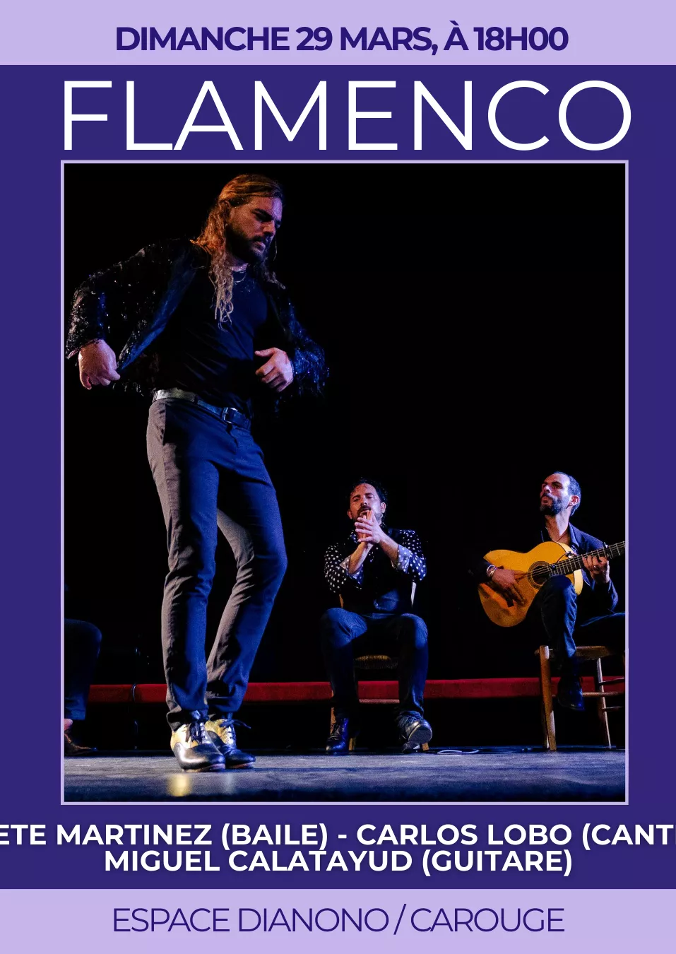 Affiche Flamenco Roots