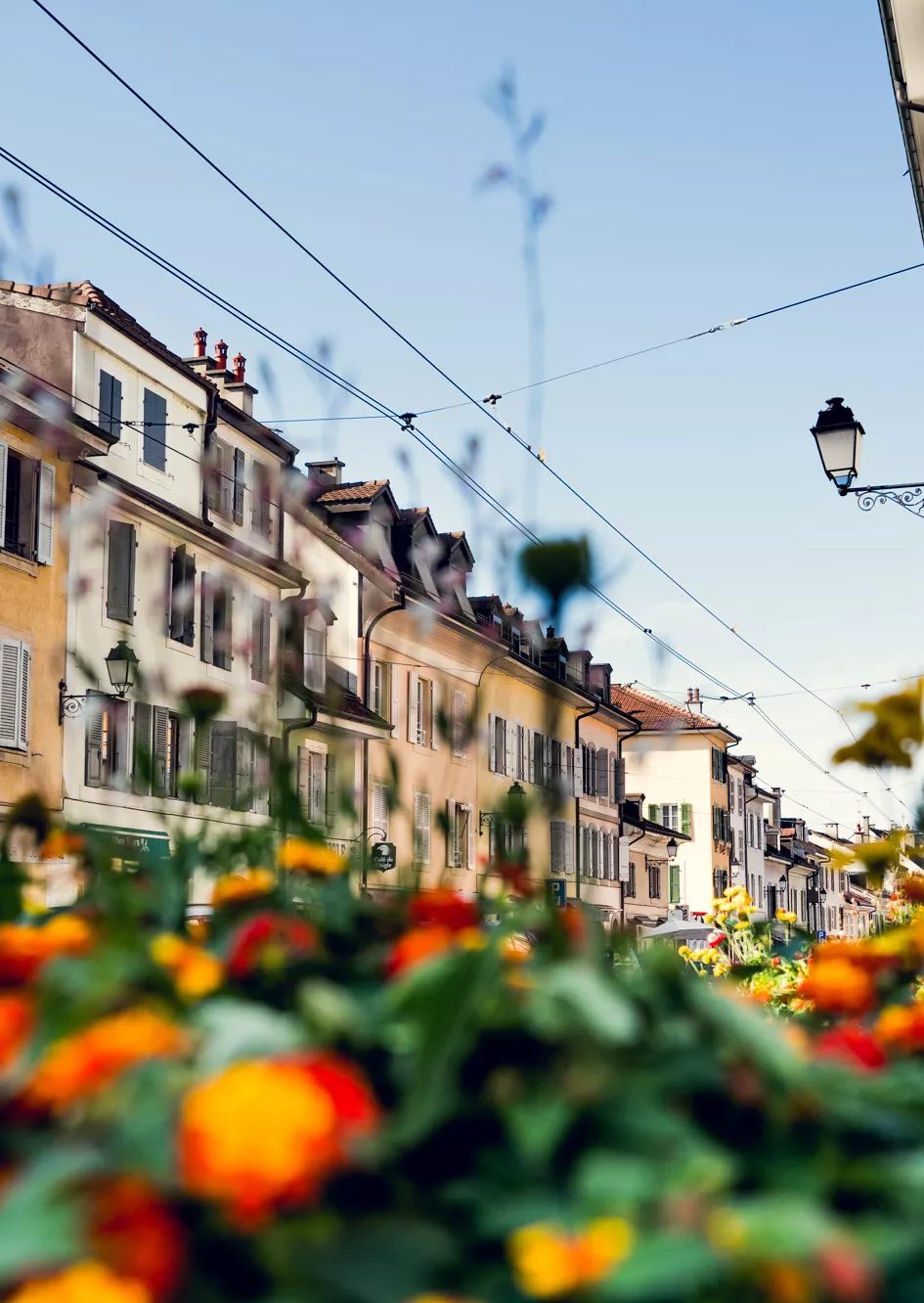 Image Ville de Carouge