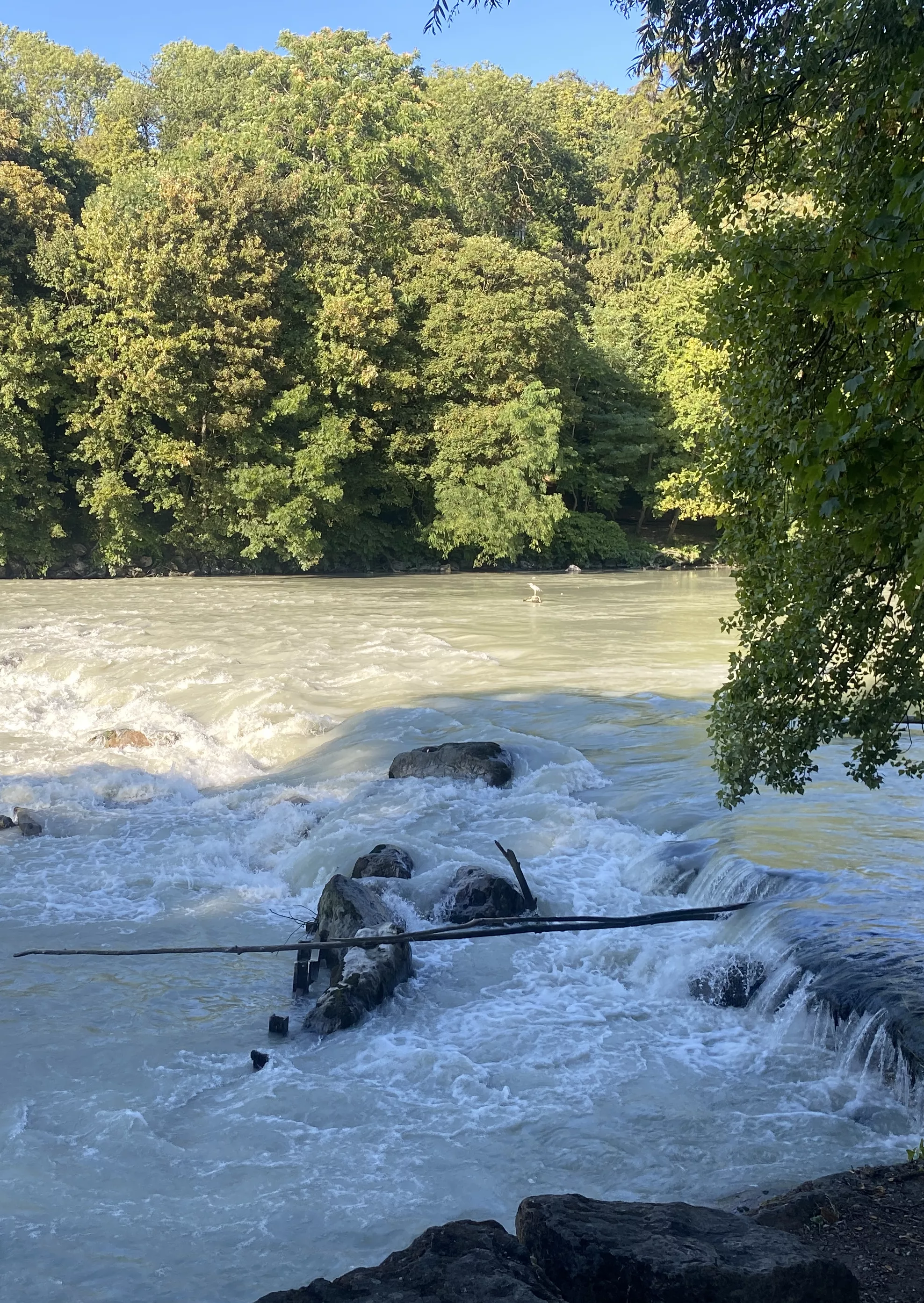 Photo du l'Arve 