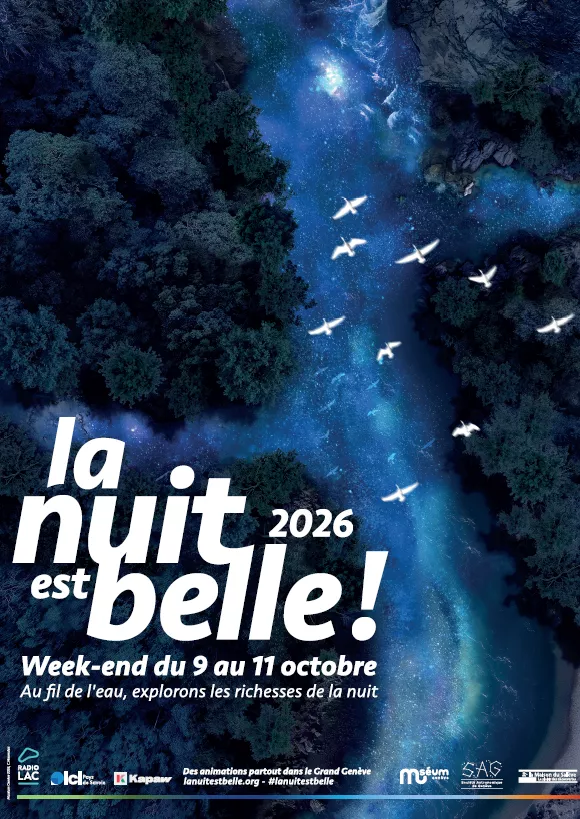 poster la nuit est belle