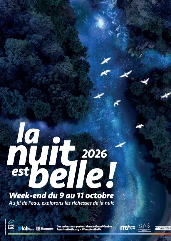 poster la nuit est belle 