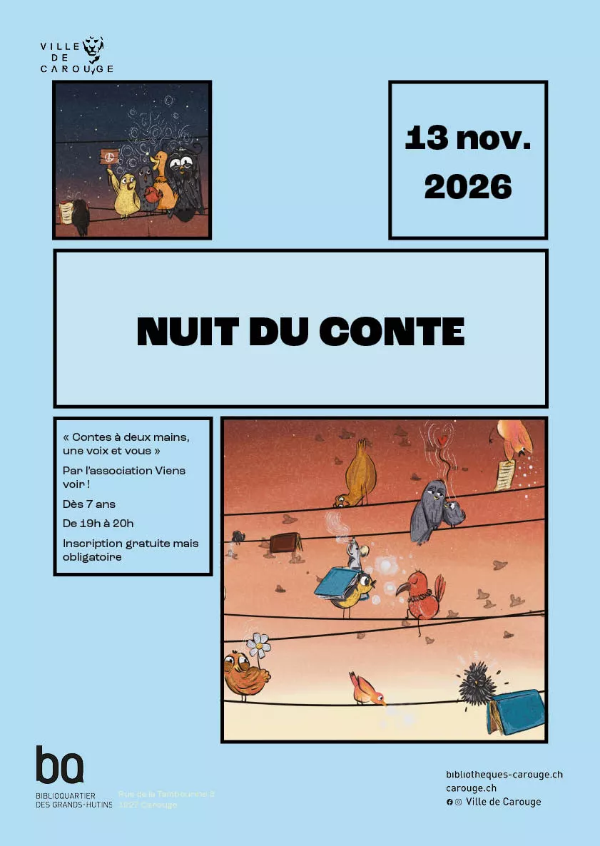 affiche la nuit du conte