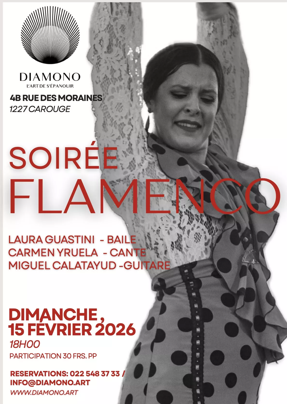 Soir&eacute;e flamenco