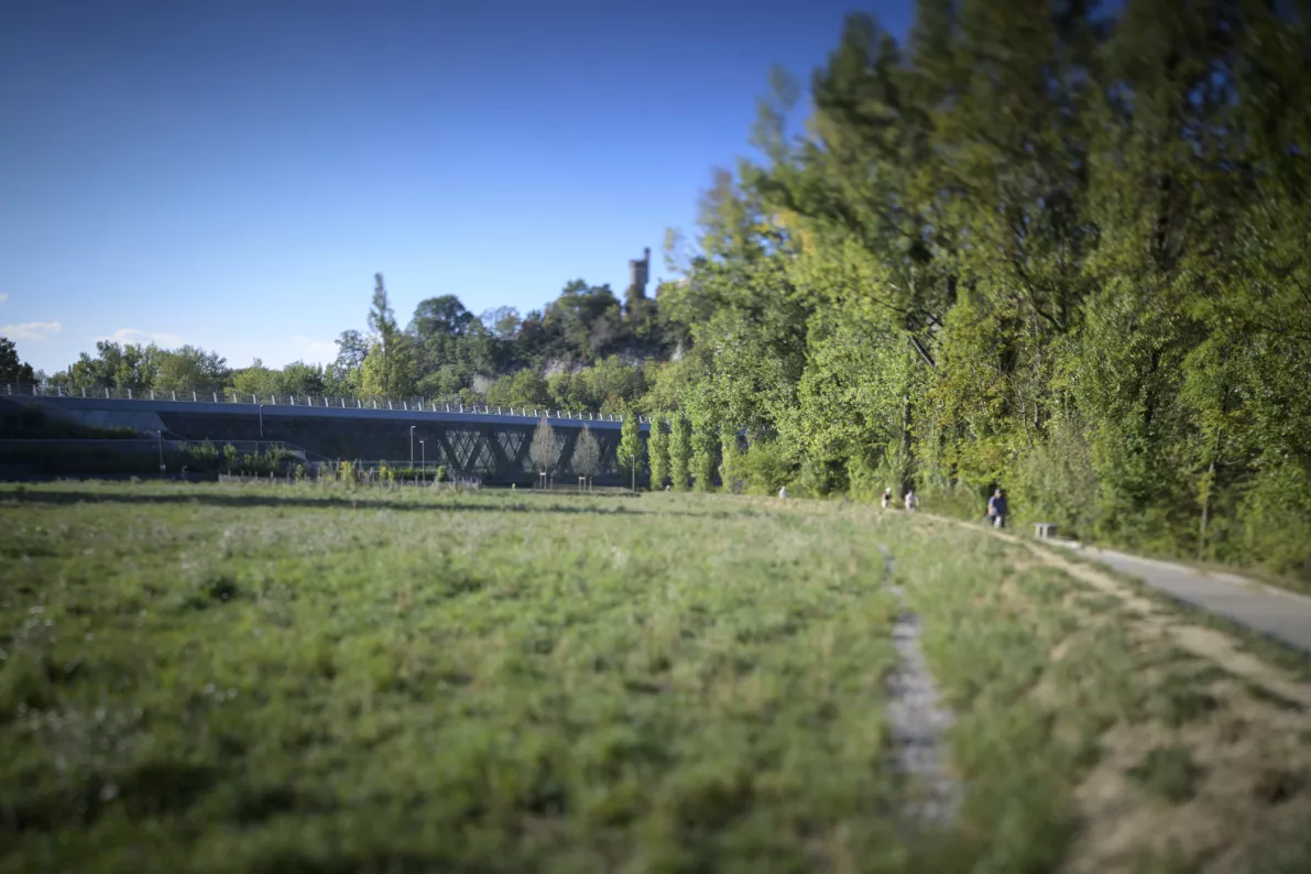 Visuel Parc Boulodrome