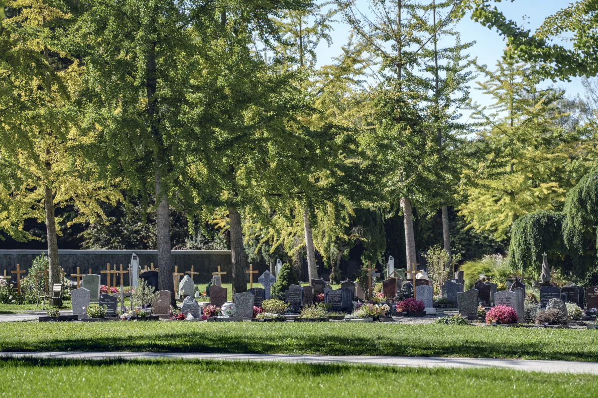 Photo du Cimeti&egrave;re de Carouge