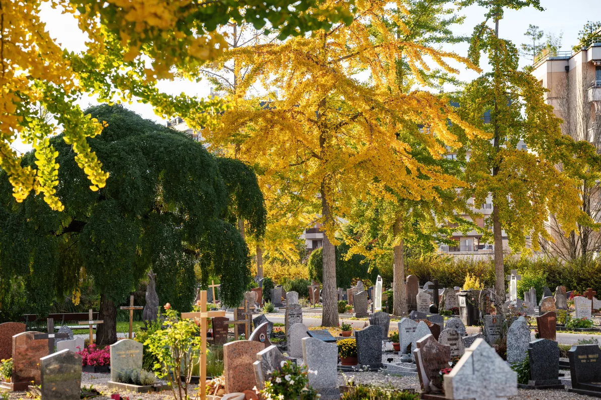 Image cimeti&egrave;re automne