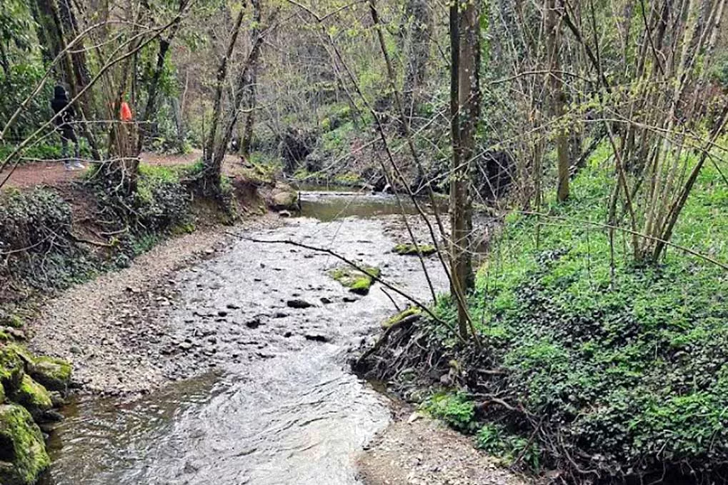 Drize &agrave; Carouge