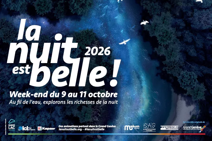 La nuit est belle!
