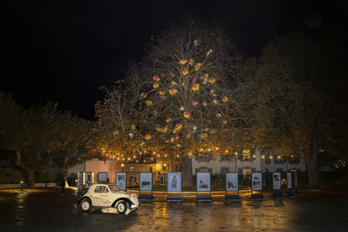 Visuel Expo Vernet-Bouvier