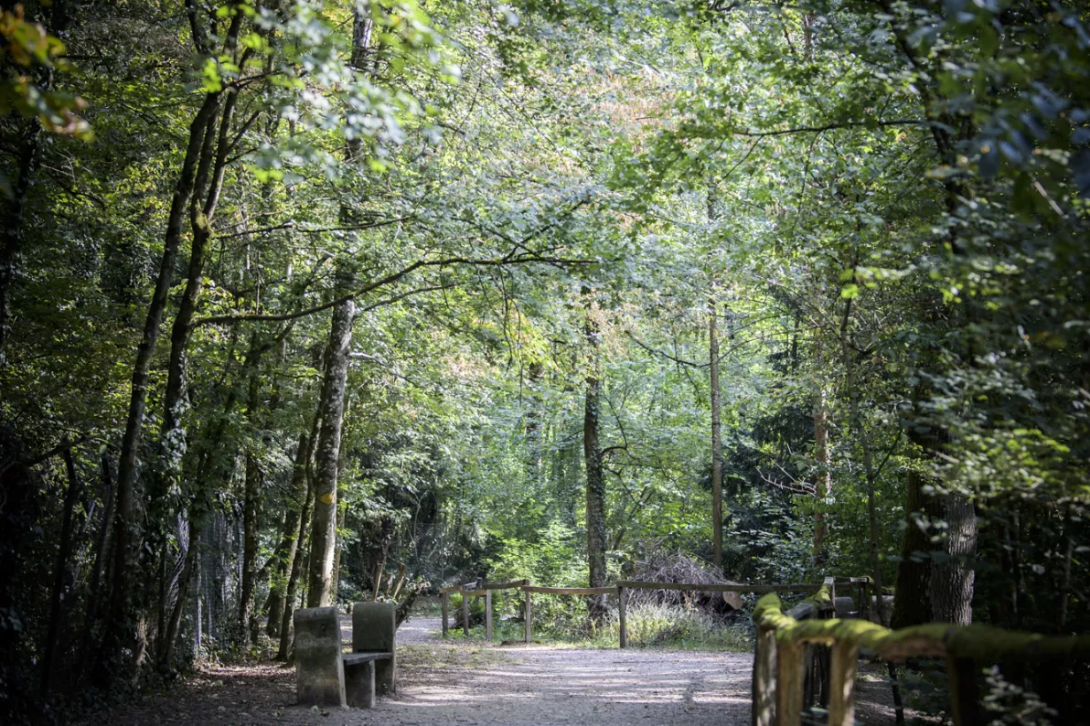 Promenade le long de la Drize