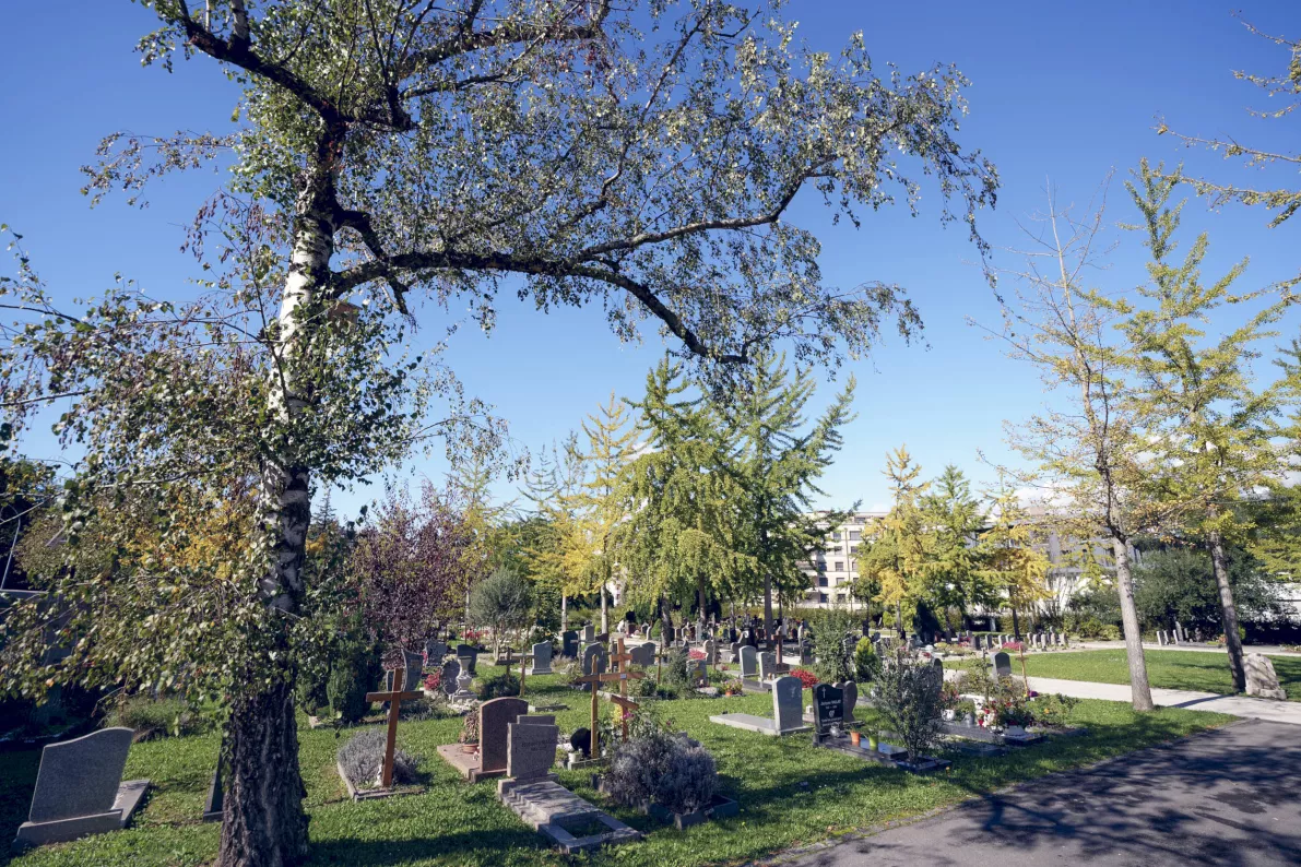 Cimetière de Carouge