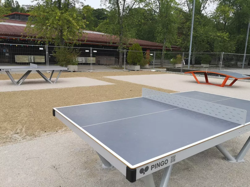 Tables de ping-pong