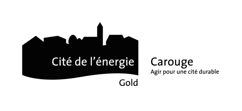 logo Cit&eacute; de l'&eacute;nergie Gold