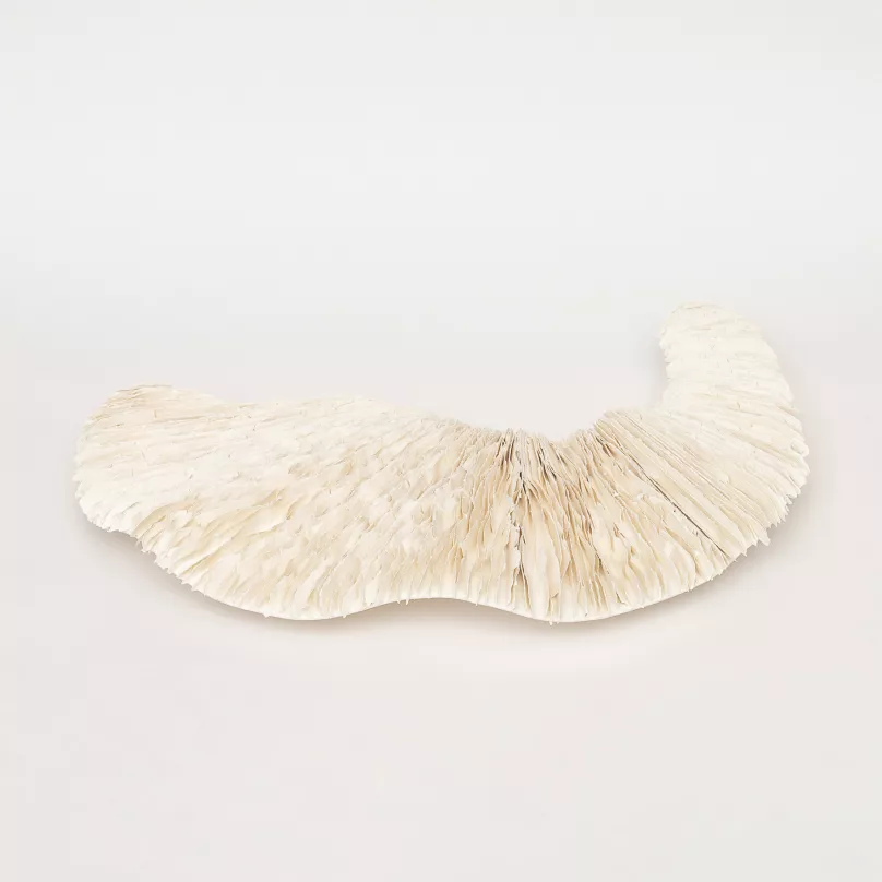 Levedad, laur&eacute;ate du Concours international de c&eacute;ramique 2026, d'Ana Gonzales
