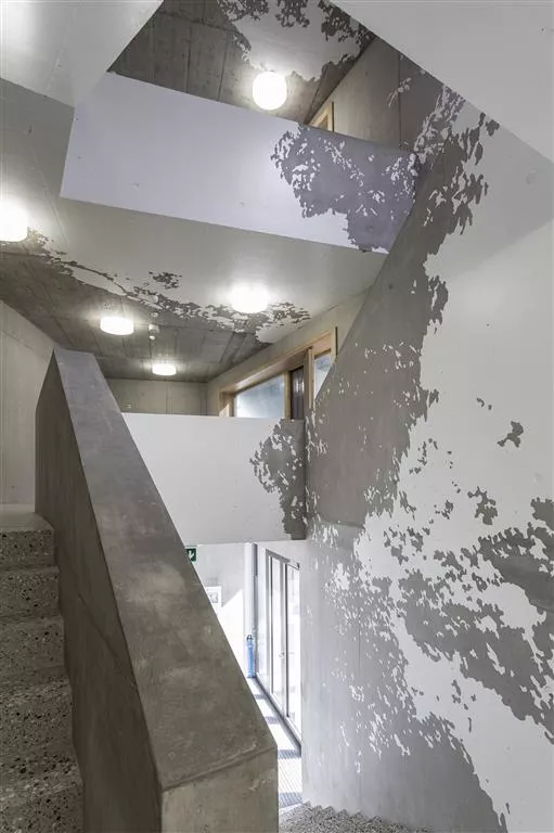 Clairière, oeuvre de Thomas Maisonnasse