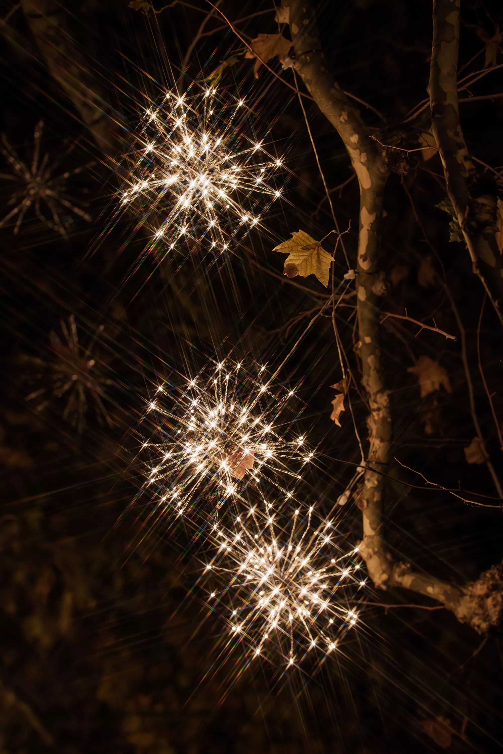 Pompons de No&euml;l