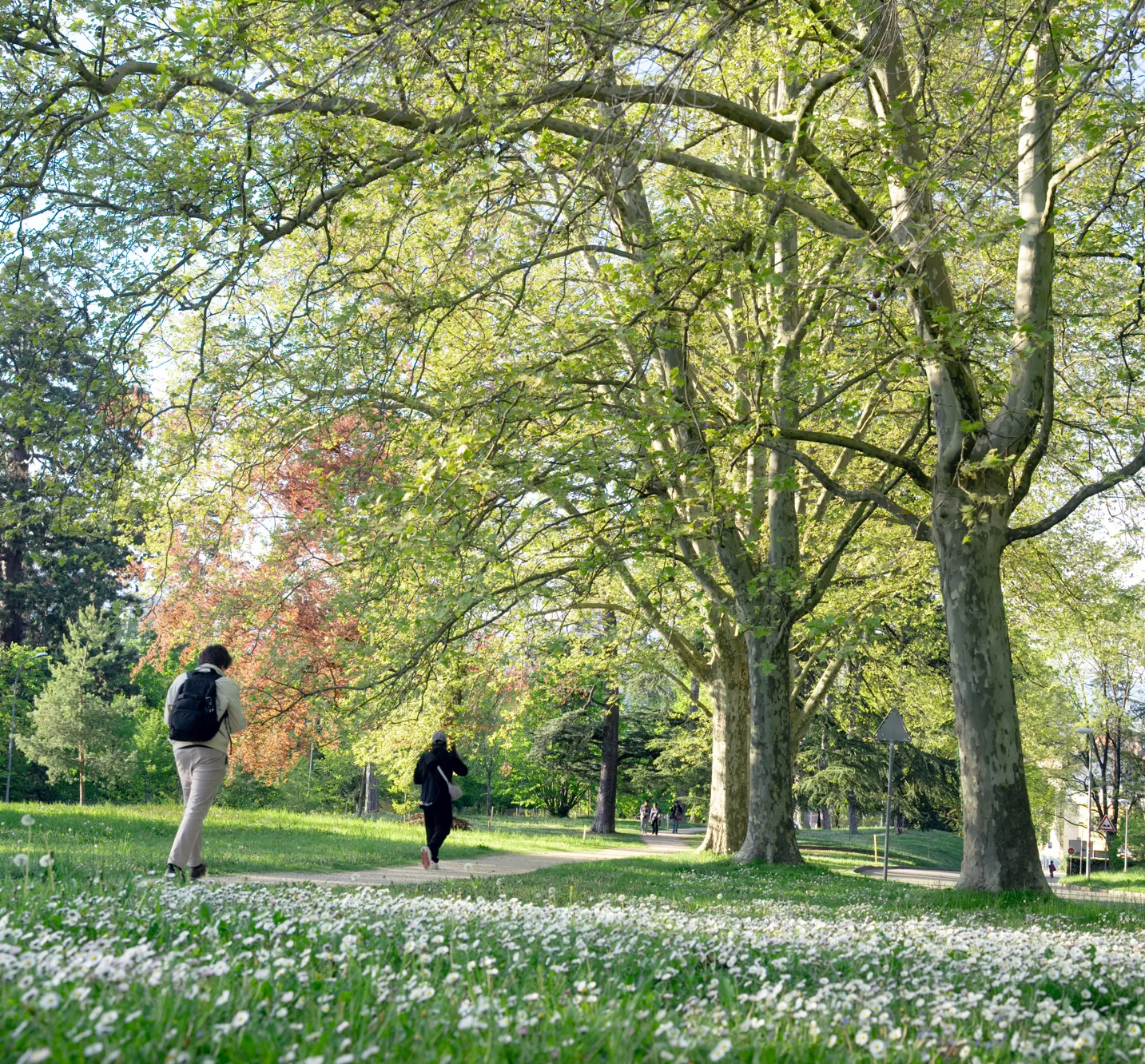 Parc Batelle &agrave; Carouge