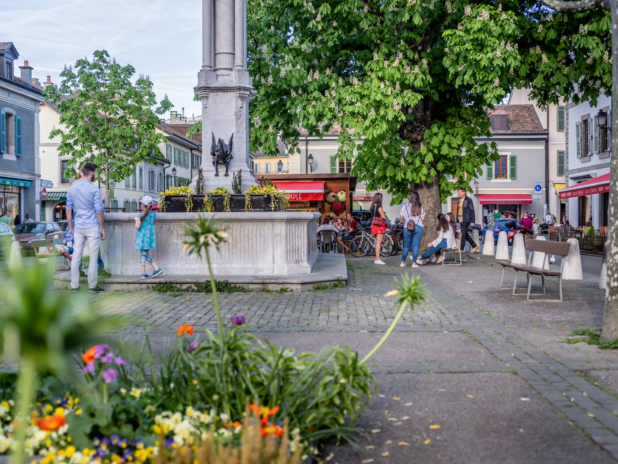 Carouge au printemps
