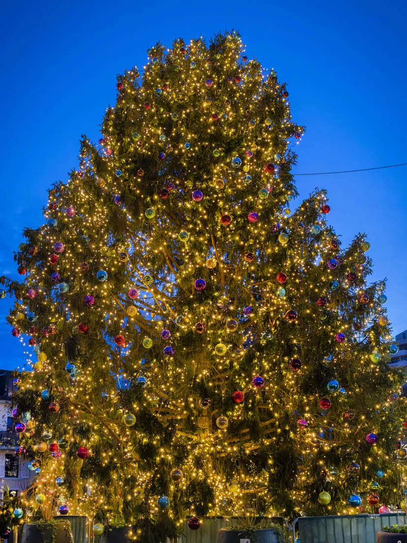 Sapin de Noël