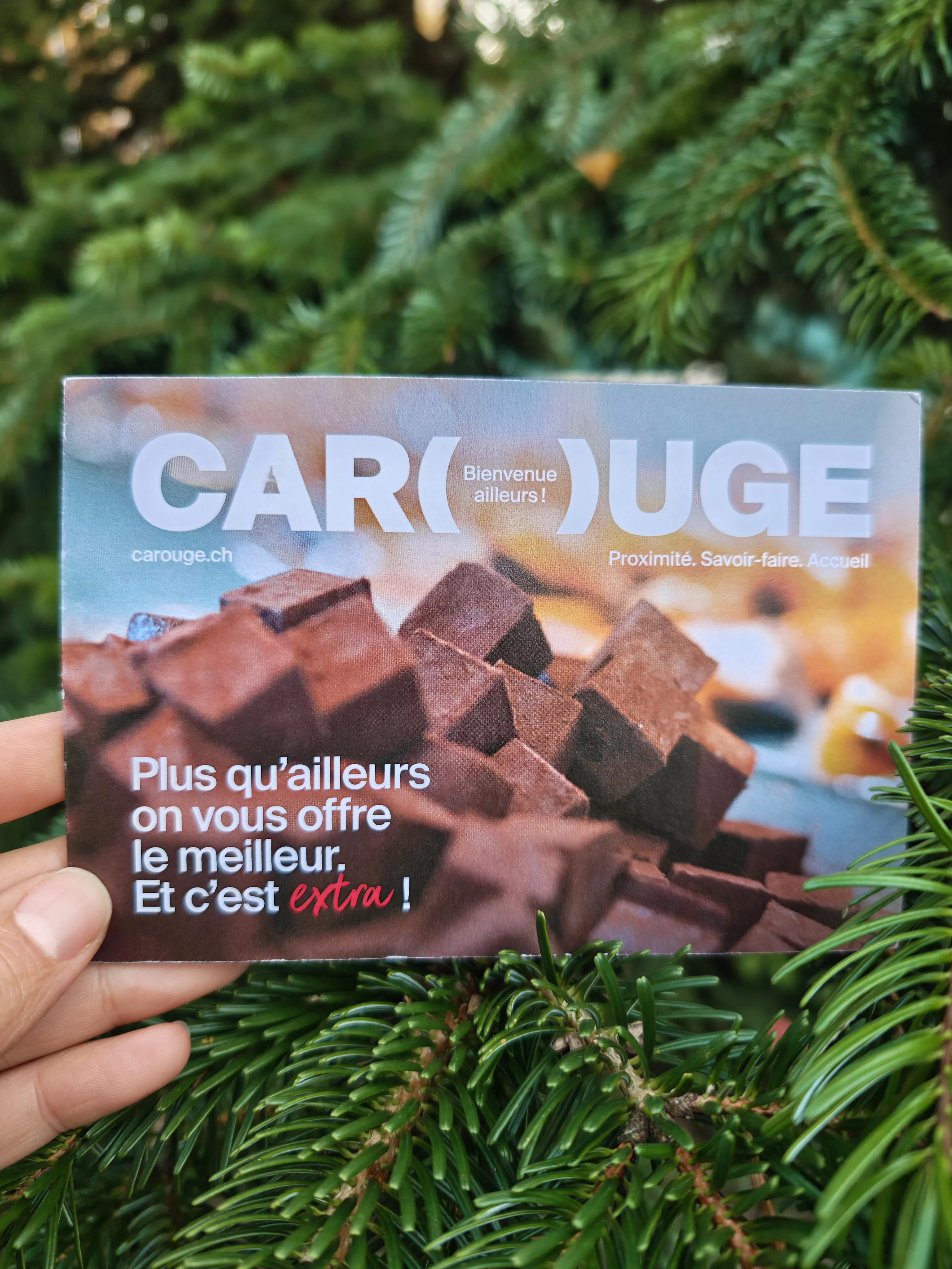 Carouge Extra