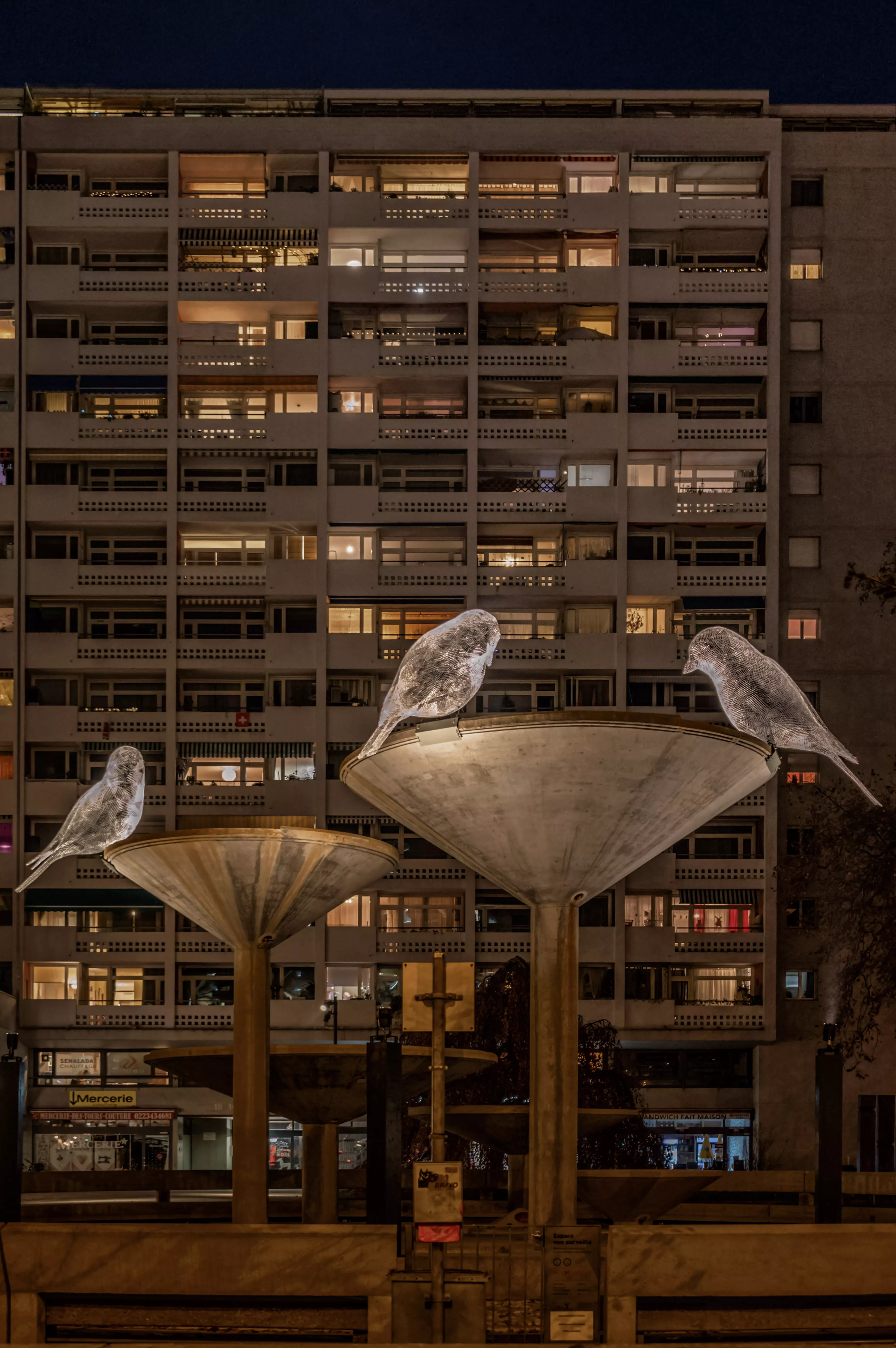 Les oiseaux de C&eacute;dric Leborgne