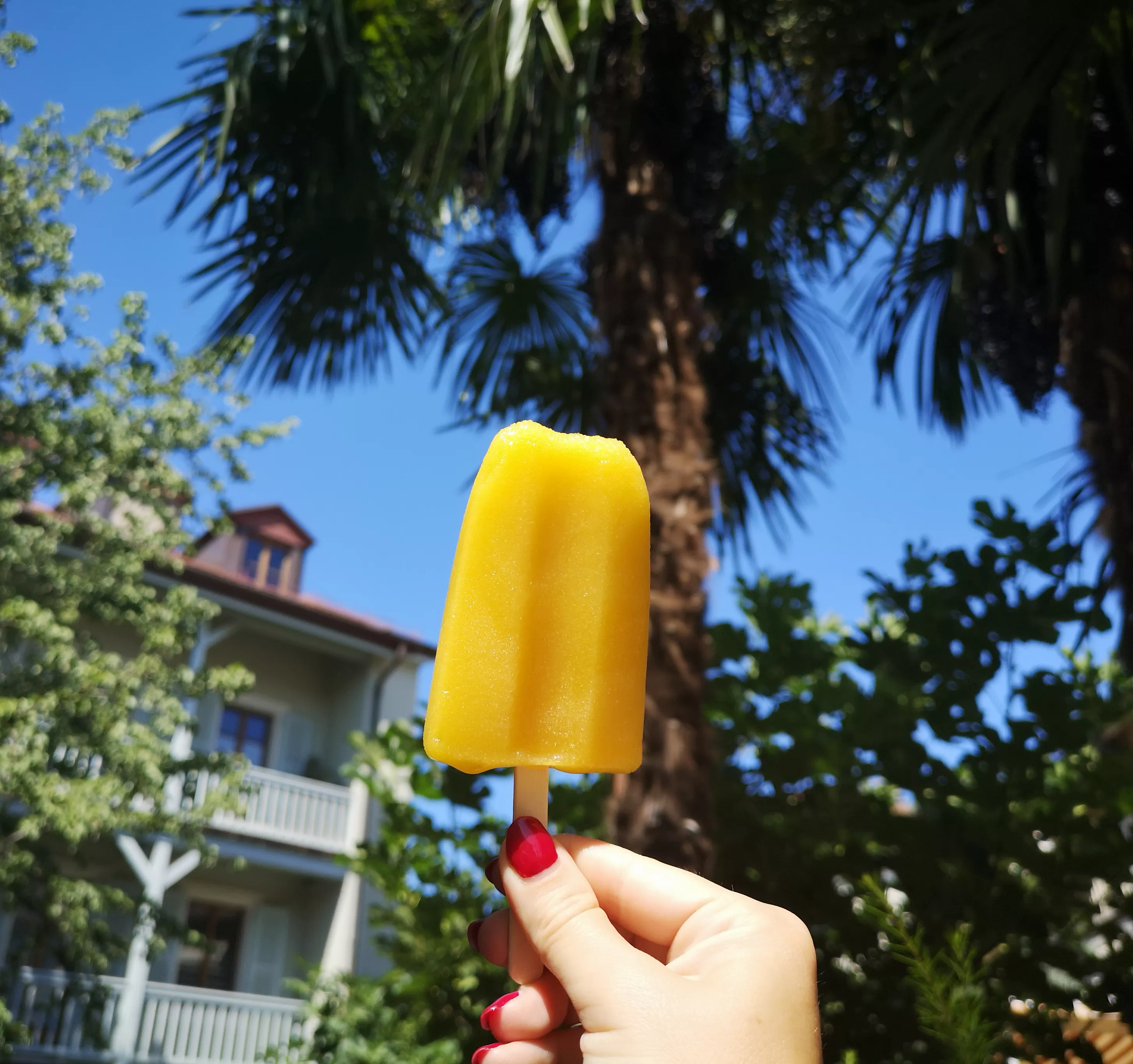Glace au coeur de Carouge