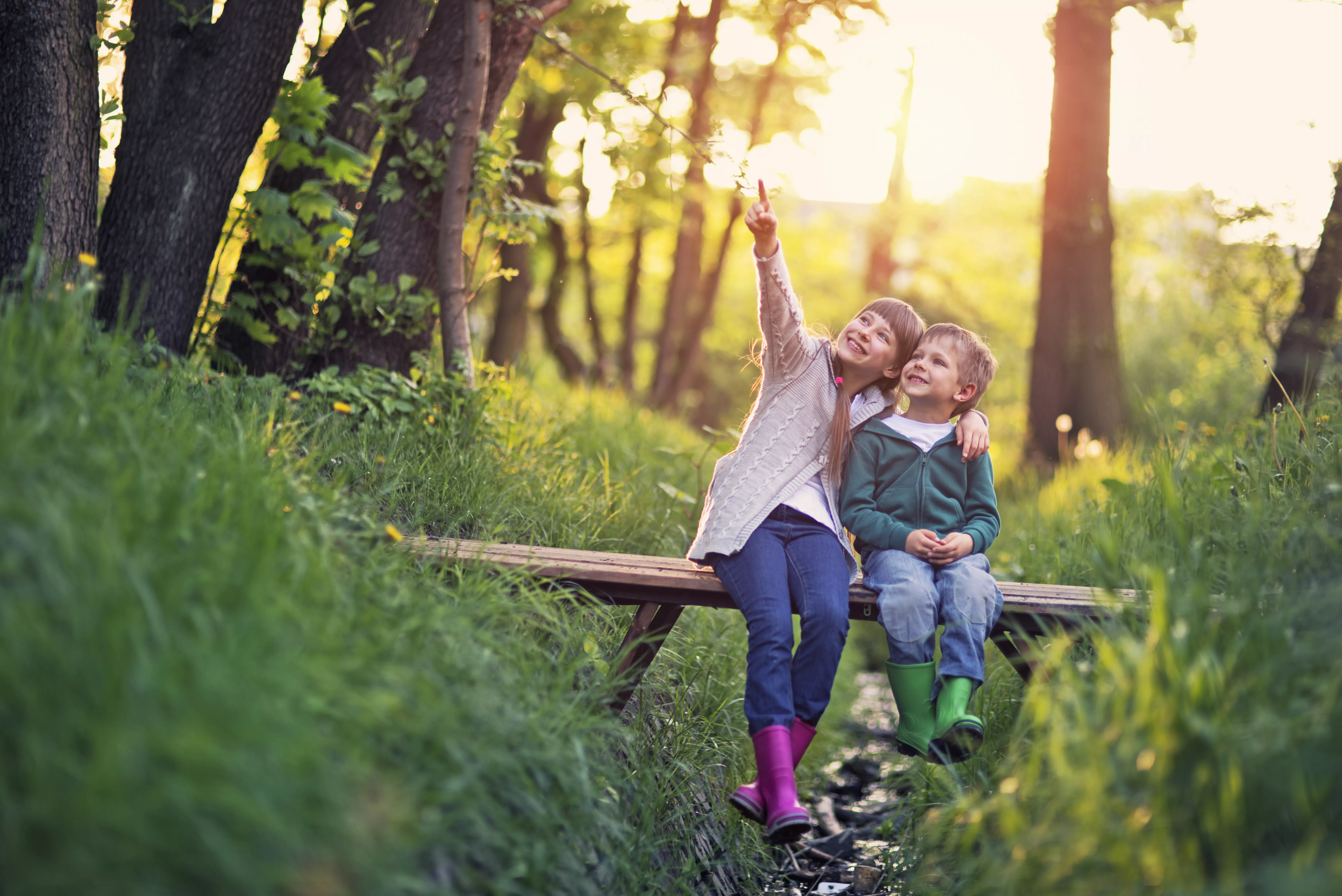Enfants dans la for&ecirc;t