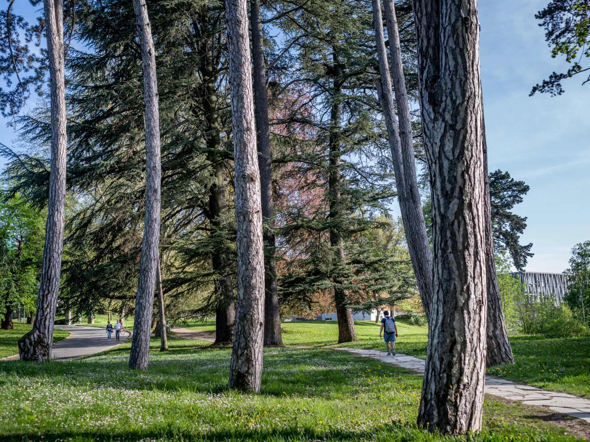 Espaces verts &agrave; Carouge
