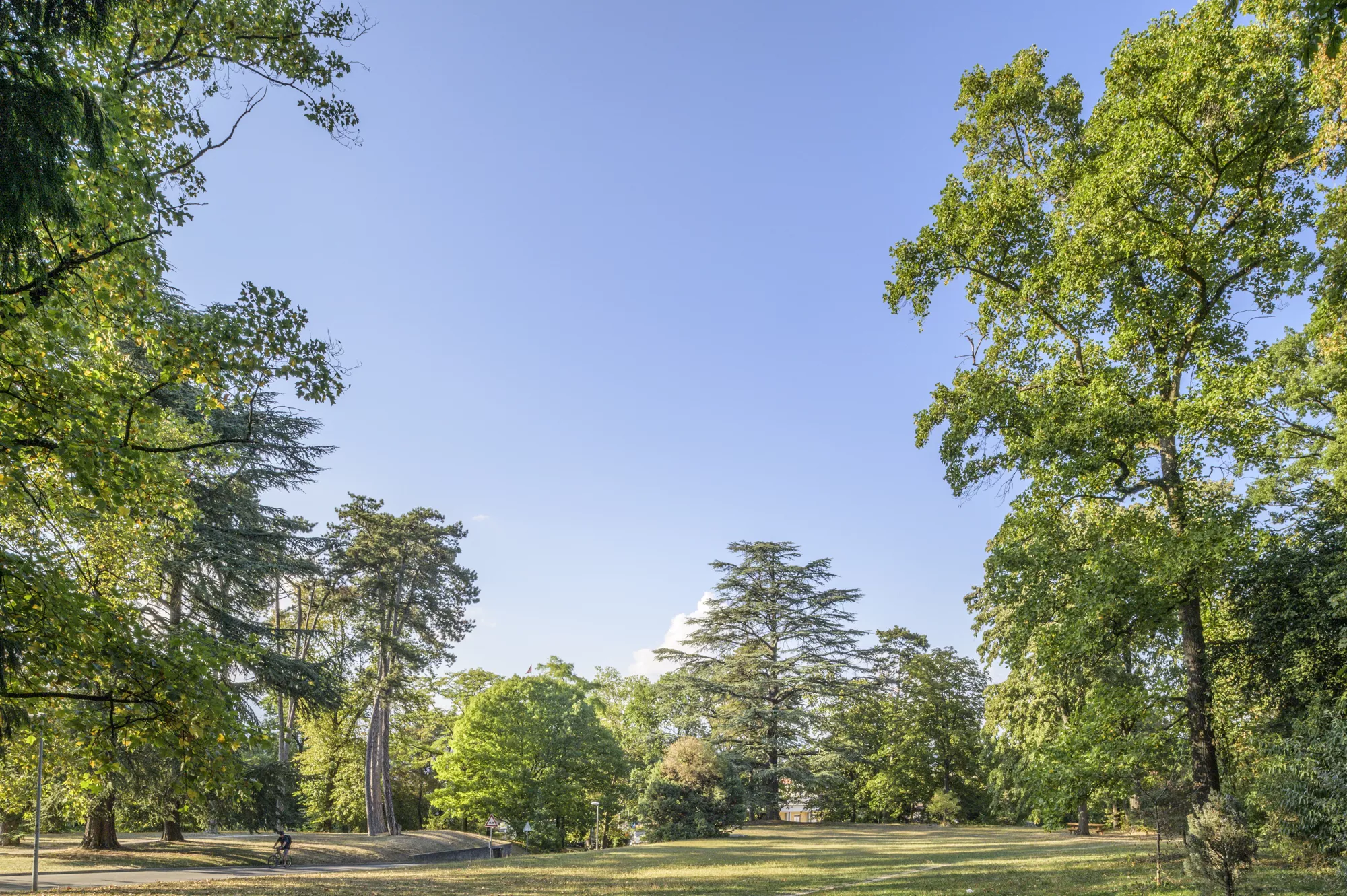Espaces verts &agrave; Carouge